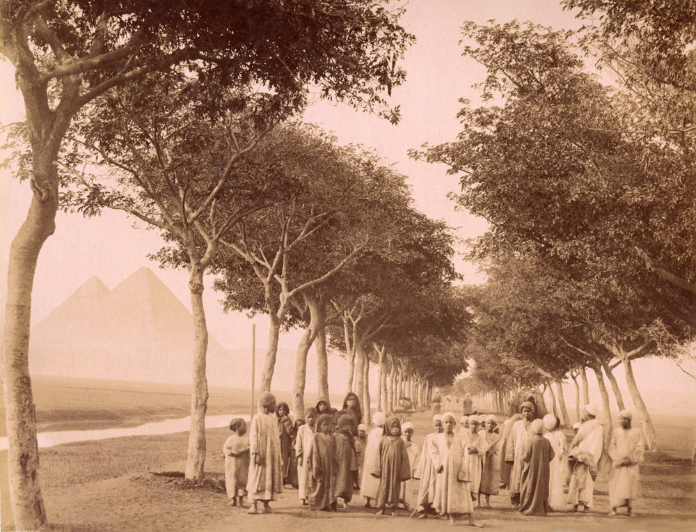 Egypt. On the road to pyramids. Photo by Zangaki. Albumen. 1800 ca