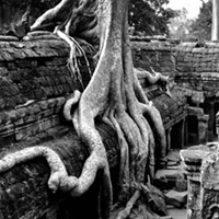 ANGKOR