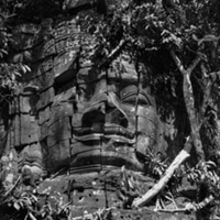 CAMBOGIA