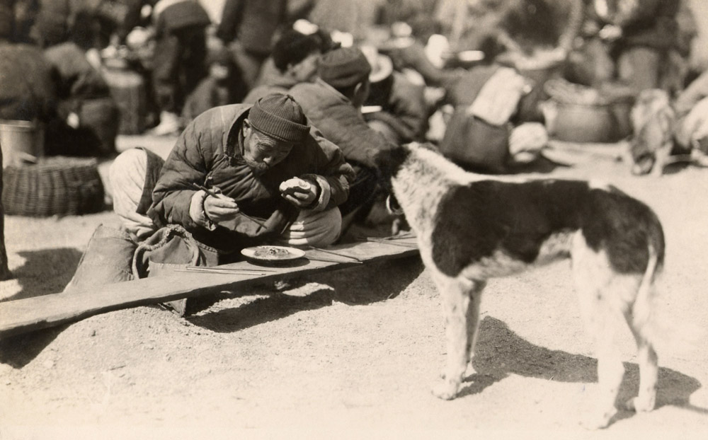 Famine for all. Dog watching a man eating.Tsing Tao 1930 - © Carlo Sacco