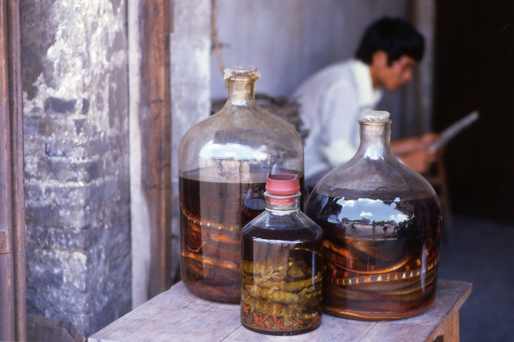 Snakes and lizards to make drinkers stronger. Canton market, China 1983 - © Carlo Sacco