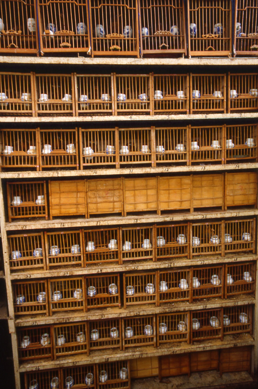 Crickets market. Shanghai, China 2005 - © Carlo Sacco