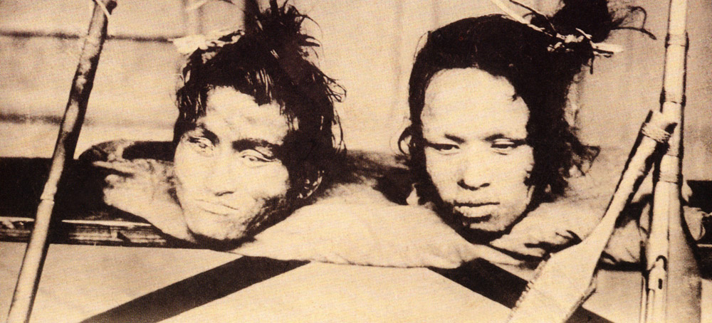 Head shelf at Formosa