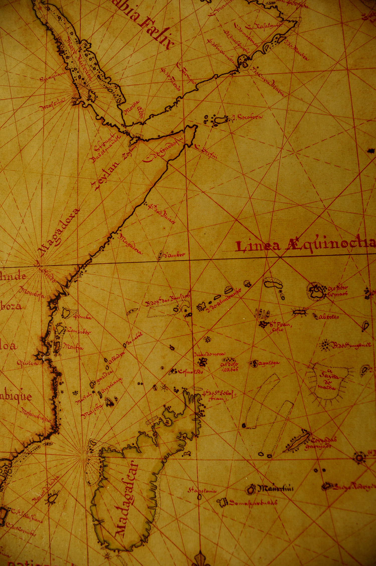 Arabic Sea and east coast of Africa and Madagascar.