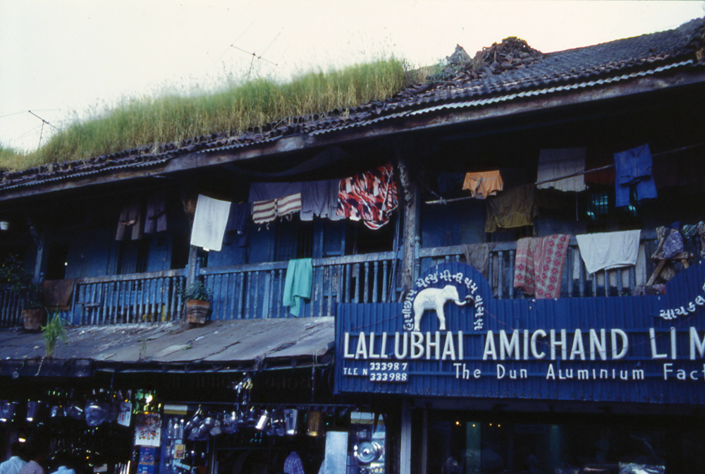 Growing grass on Faras Road roofs. Mumbai, India 1985 - © Carlo Sacco