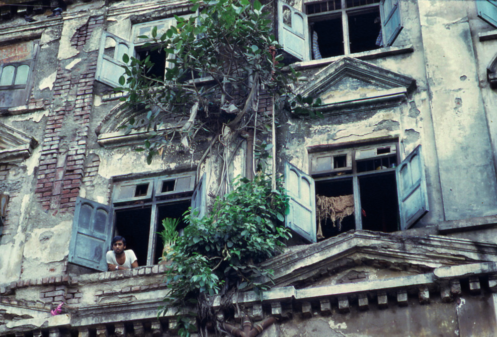 Trees on fatiscency. Mumbai, India 1974 - © Carlo Sacco