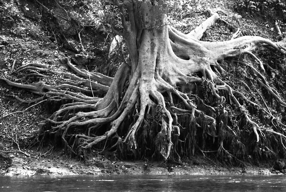 Low level of water on Nam Ou river. Laos 2008 - © Carlo Sacco