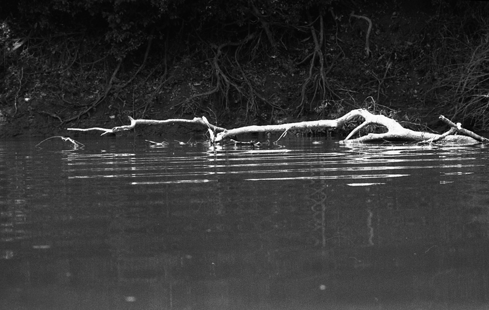 Along left bank of Mekong river. Laos 2008 - © Carlo Sacco