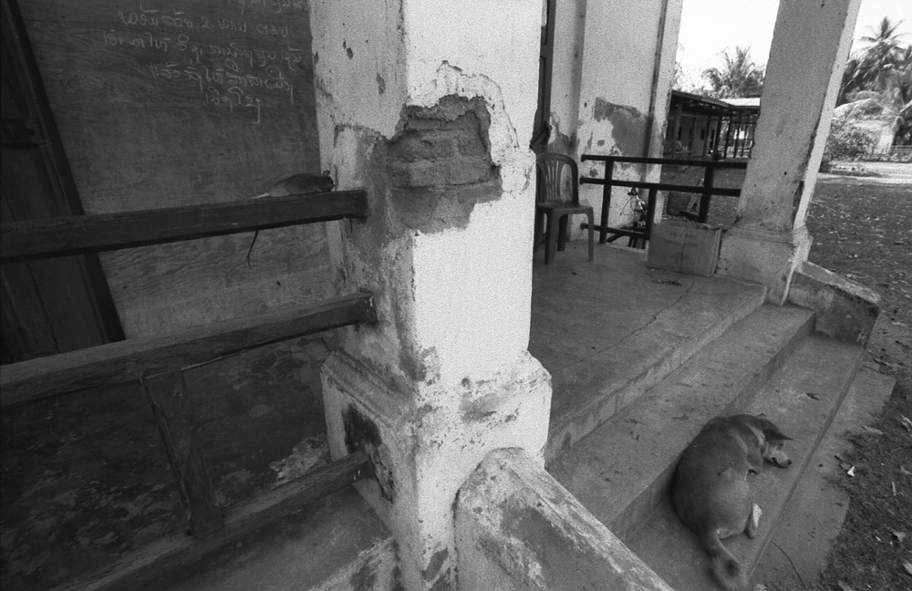 Fatiscency at Khong Island, dying dog and dead rat. Siphandon, Laos 2008 - © Carlo Sacco