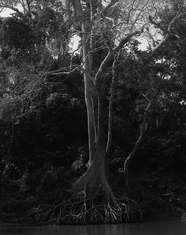 Low water level. Laos 2008 - © Carlo Sacco