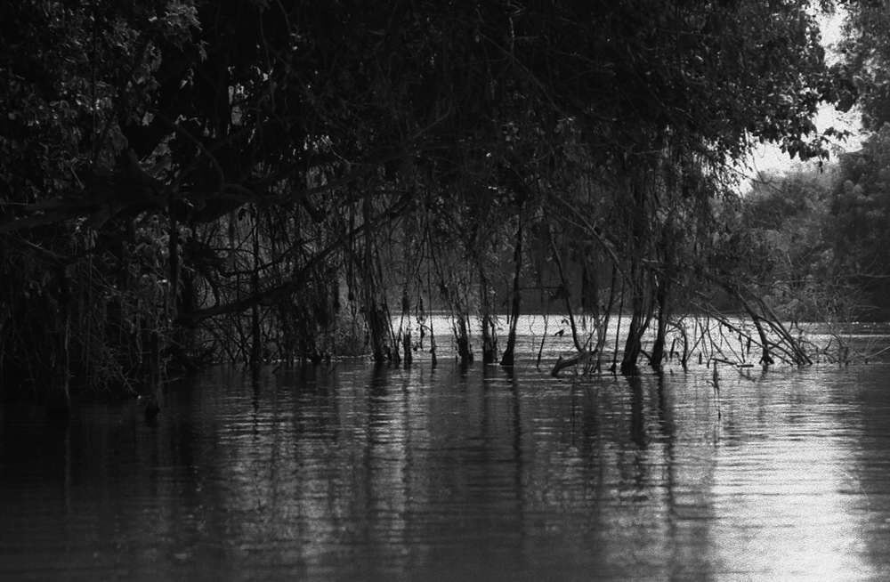 Passing under the vegetation on Nam Ou. Laos 2008 - © Carlo Sacco