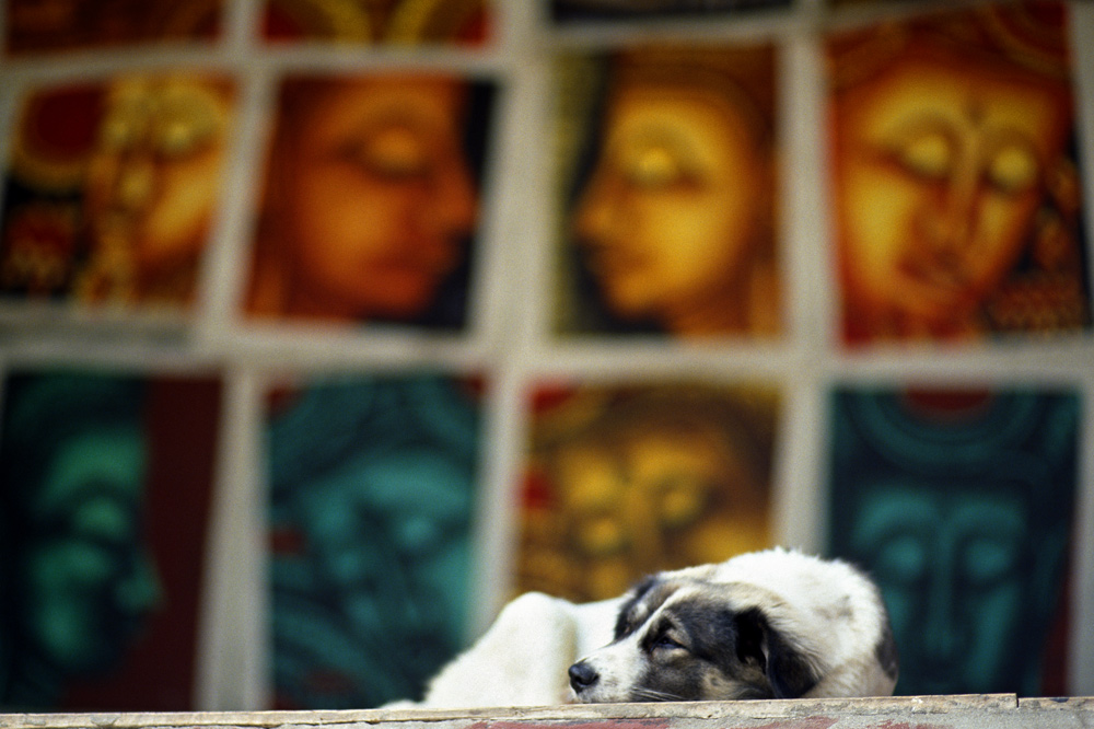  Even dogs dream gods. Laos 2008 - © Carlo Sacco
