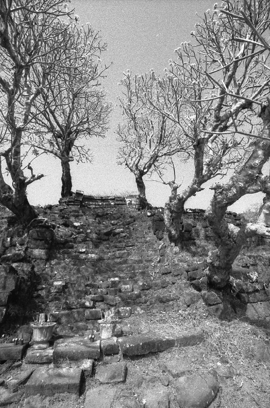 Steps to Wat Phou. Champasak, Laos 2008 - © Carlo Sacco