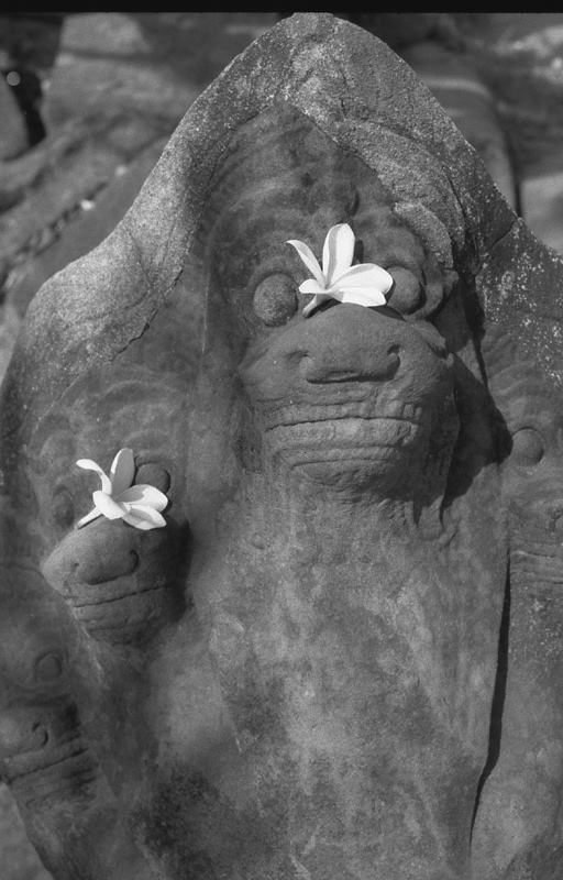Flowers over the stone guardian of steps to Wat Phou. Champasak, Laos 2008 - © Carlo Sacco