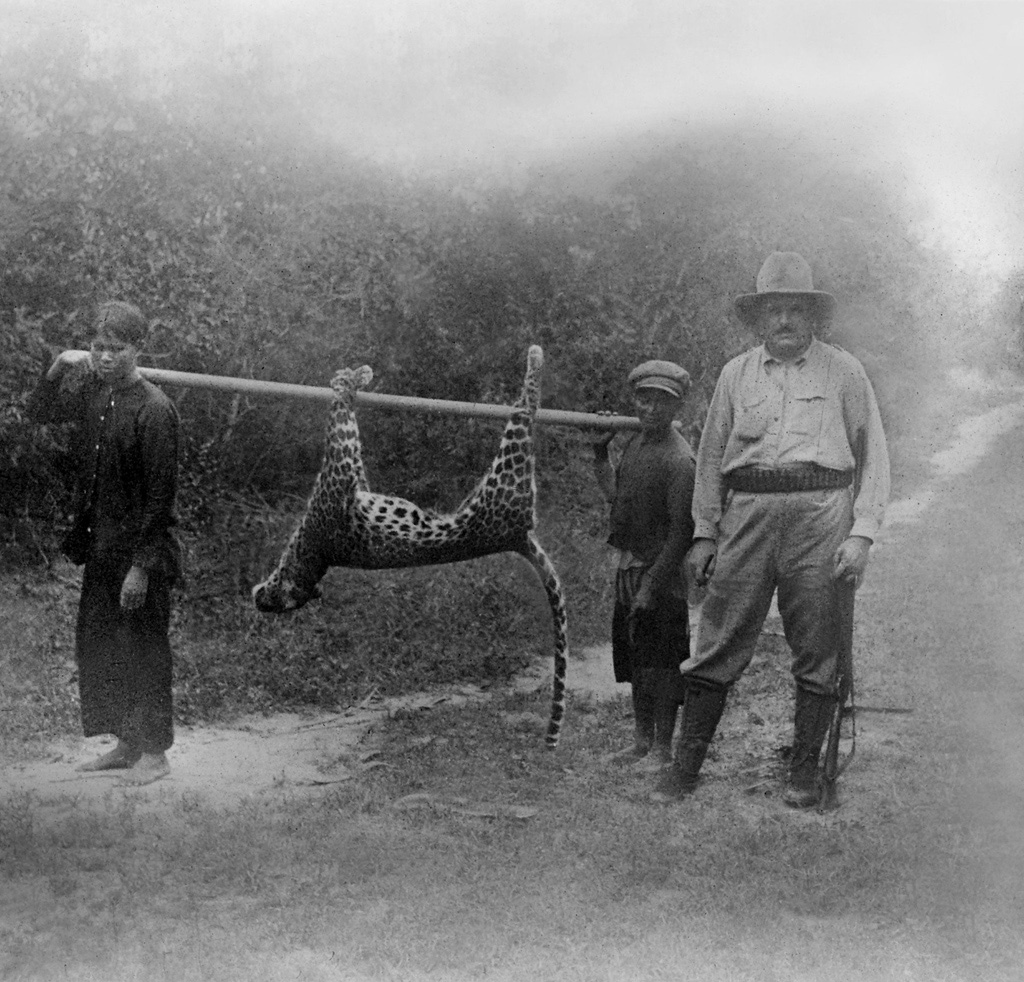 Leopard Hunting in Annam. 1930 ca