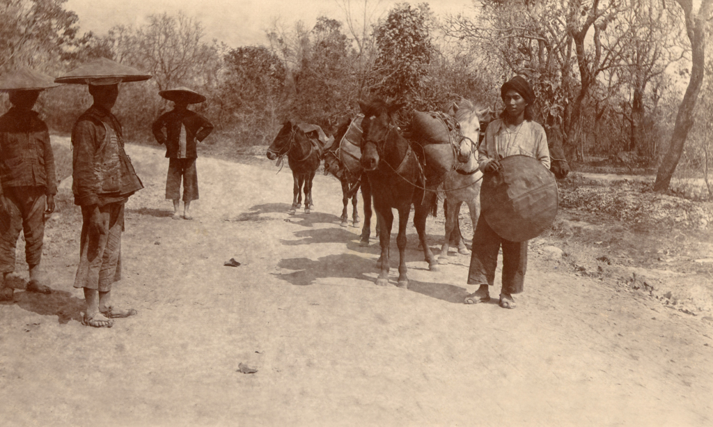 Burro train near chinese-burma border. Perhaps hill tribes. Burma 1890 ca