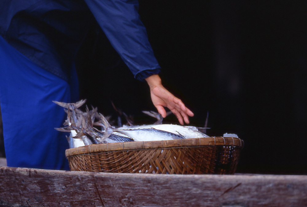 Hoi An fish market. Hoi An, Vietnam 2000 - © Carlo Sacco