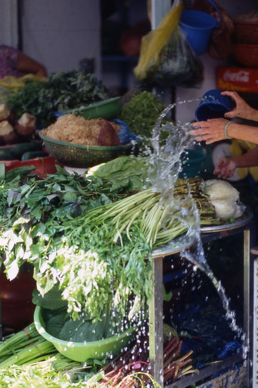 Refreshing of vegetables inside Bentham market. Saigon, Vietnam 2008 - © Carlo Sacco