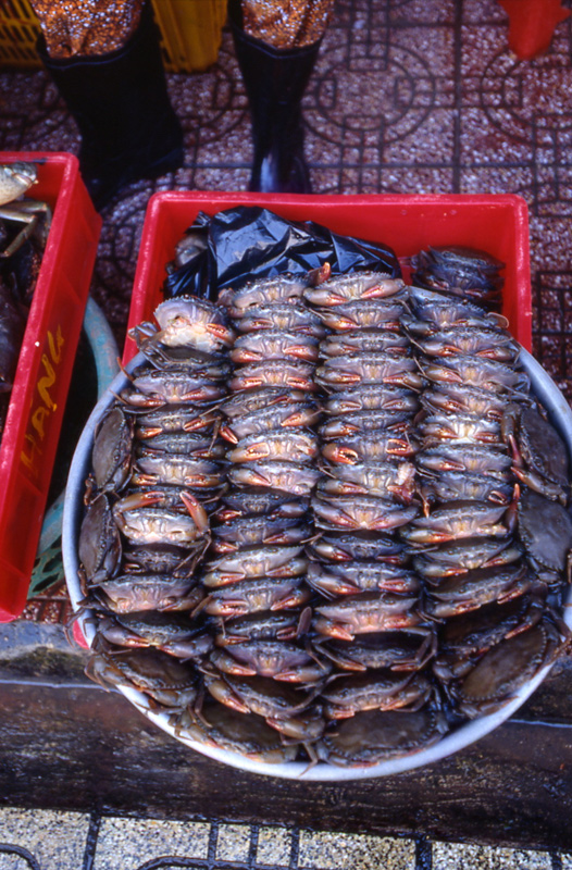 Sale of crabs. Bentham market. Saigon, Vietnam 2008 - © Carlo Sacco