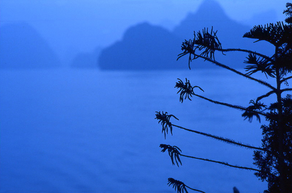 Foggy morning. Halong Bay, North Vietnam 2008 - © Carlo Sacco