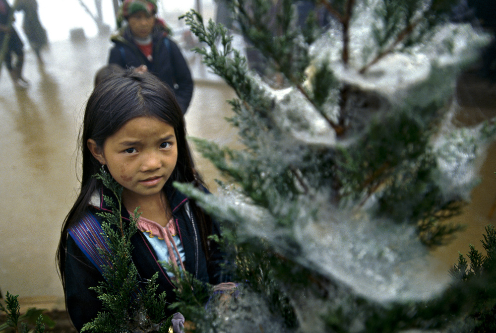 Frost cobwebs. Y Lin Ho, near Sapa, Vietnam 2008 - © Carlo Sacco