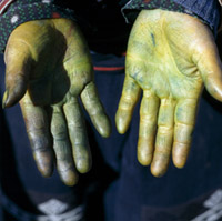 DUE VOLTE GIALLO